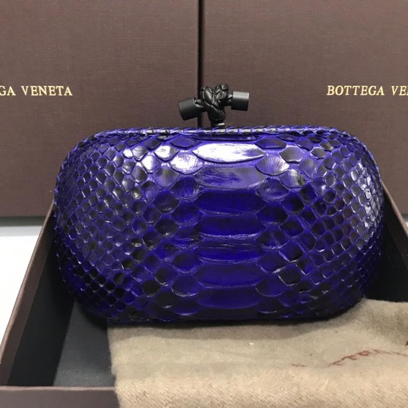 Bottega Veneta Clutches Bags B9602 Snake Skin Seven